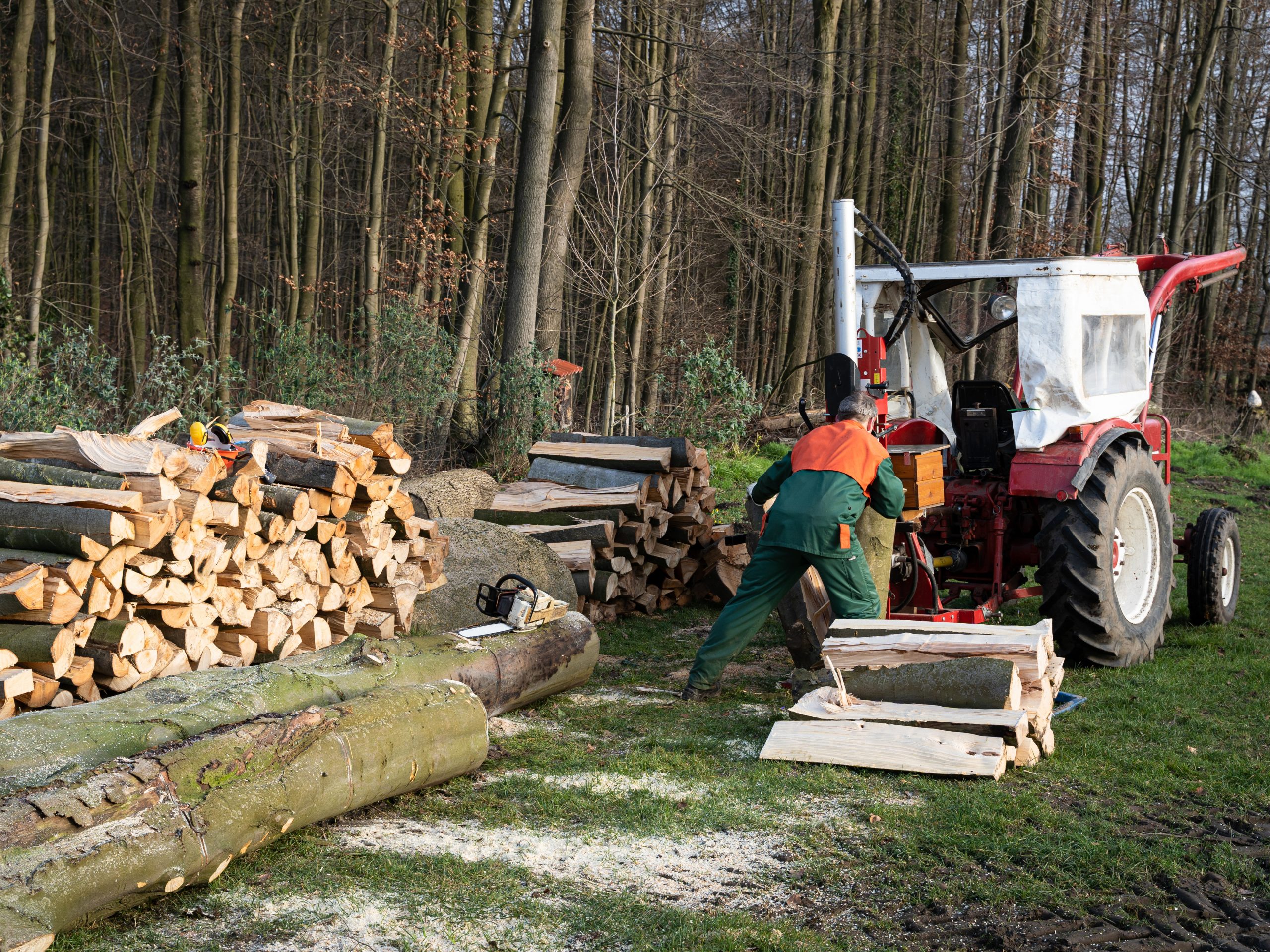 Holzspalter HL2550GM Scheppach - 25t